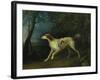 A Brown and White Setter in a Wooded Landscape-Sawrey Gilpin-Framed Giclee Print