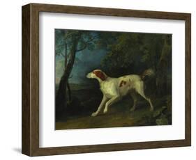 A Brown and White Setter in a Wooded Landscape-Sawrey Gilpin-Framed Giclee Print