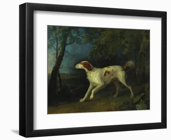 A Brown and White Setter in a Wooded Landscape-Sawrey Gilpin-Framed Giclee Print