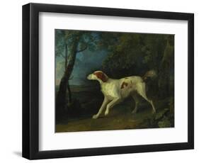 A Brown and White Setter in a Wooded Landscape-Sawrey Gilpin-Framed Giclee Print