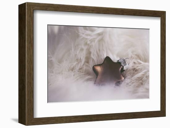 A Brown Christmassy Star Lies on Soft Ground-Petra Daisenberger-Framed Photographic Print