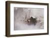 A Brown Christmassy Star Lies on Soft Ground-Petra Daisenberger-Framed Photographic Print