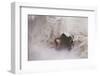 A Brown Christmassy Star Lies on Soft Ground-Petra Daisenberger-Framed Photographic Print