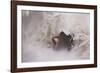 A Brown Christmassy Star Lies on Soft Ground-Petra Daisenberger-Framed Photographic Print