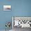 A Brown Pelican Flies over a White Sand Florida Beach at Sunrise-Steve Bower-Photographic Print displayed on a wall