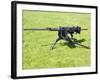 A Browning M2 .50 Caliber Heavy Machine Gun-Stocktrek Images-Framed Photographic Print