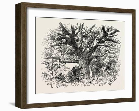 A Buck-Hunting Excursion in South Africa: a Yellow-Wood Tree-null-Framed Giclee Print