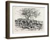 A Buck-Hunting Excursion in South Africa: after the First Beat-null-Framed Giclee Print