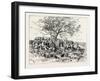 A Buck-Hunting Excursion in South Africa: after the First Beat-null-Framed Giclee Print