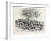 A Buck-Hunting Excursion in South Africa: after the First Beat-null-Framed Giclee Print