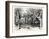 A Buck-Hunting Excursion in South Africa: Our Larder and Stable-null-Framed Giclee Print