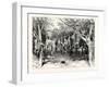 A Buck-Hunting Excursion in South Africa: Our Larder and Stable-null-Framed Giclee Print