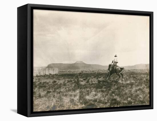 A Buck Jumper, 1906-E. B. Gibbes-Framed Stretched Canvas