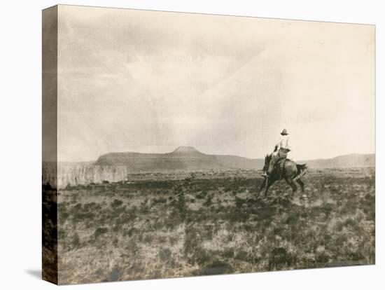 A Buck Jumper, 1906-E. B. Gibbes-Stretched Canvas