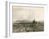 A Buck Jumper, 1906-E. B. Gibbes-Framed Premium Photographic Print