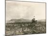 A Buck Jumper, 1906-E. B. Gibbes-Mounted Premium Photographic Print