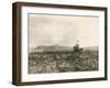 A Buck Jumper, 1906-E. B. Gibbes-Framed Photographic Print