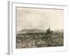 A Buck Jumper, 1906-E. B. Gibbes-Framed Photographic Print