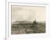 A Buck Jumper, 1906-E. B. Gibbes-Framed Photographic Print