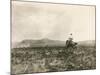 A Buck Jumper, 1906-E. B. Gibbes-Mounted Photographic Print