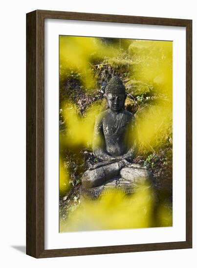 A Buddha Statue in the Garden of Zen Temple Ryumonji Surrounded by Forsythia-null-Framed Photographic Print