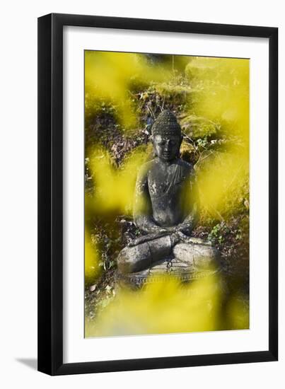 A Buddha Statue in the Garden of Zen Temple Ryumonji Surrounded by Forsythia-null-Framed Photographic Print