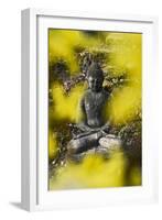 A Buddha Statue in the Garden of Zen Temple Ryumonji Surrounded by Forsythia-null-Framed Photographic Print