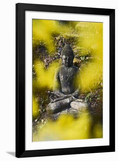 A Buddha Statue in the Garden of Zen Temple Ryumonji Surrounded by Forsythia-null-Framed Photographic Print