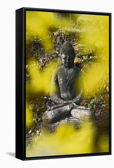 A Buddha Statue in the Garden of Zen Temple Ryumonji Surrounded by Forsythia-null-Framed Stretched Canvas