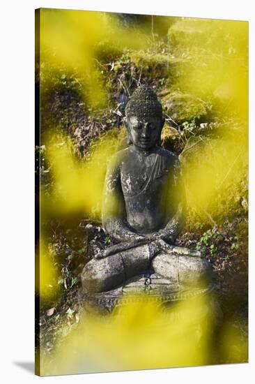 A Buddha Statue in the Garden of Zen Temple Ryumonji Surrounded by Forsythia-null-Stretched Canvas