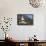 A Buddhist Temple on the Route to the Summit of Adam's Peak (Sri Pada), Sri Lanka, Asia-Charlie-Framed Stretched Canvas displayed on a wall