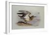 A Buff-Breasted Sandpiper-Archibald Thorburn-Framed Giclee Print