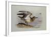 A Buff-Breasted Sandpiper-Archibald Thorburn-Framed Giclee Print