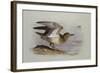 A Buff-Breasted Sandpiper-Archibald Thorburn-Framed Giclee Print