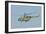 A Bulgarian Air Force Mi-8 Helicopter in Flight over Bulgaria-Stocktrek Images-Framed Photographic Print