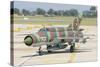 A Bulgarian Air Force Mig-21 During Exercise Thracian Star-Stocktrek Images-Stretched Canvas