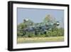 A Bulgarian Air Force Mig-21 During Exercise Thracian Star-Stocktrek Images-Framed Photographic Print