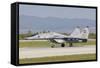 A Bulgarian Air Force Mig-29, Bulgaria-Stocktrek Images-Framed Stretched Canvas