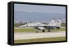 A Bulgarian Air Force Mig-29, Bulgaria-Stocktrek Images-Framed Stretched Canvas