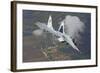 A Bulgarian Air Force Mig-29 in Flight over Bulgaria-Stocktrek Images-Framed Photographic Print