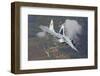 A Bulgarian Air Force Mig-29 in Flight over Bulgaria-Stocktrek Images-Framed Photographic Print
