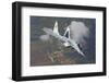 A Bulgarian Air Force Mig-29 in Flight over Bulgaria-Stocktrek Images-Framed Photographic Print