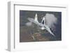 A Bulgarian Air Force Mig-29 in Flight over Bulgaria-Stocktrek Images-Framed Photographic Print