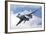 A Bulgarian Air Force Mig-29 Maneuvering over Bulgarian Air Space-Stocktrek Images-Framed Photographic Print