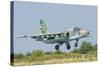 A Bulgarian Air Force Su-25 Jet During Exercise Thracian Star-Stocktrek Images-Stretched Canvas