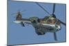 A Bulgarian Air Force Super Puma Helicopter in Flight over Bulgaria-Stocktrek Images-Mounted Photographic Print