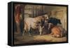 A Bull and three Cows in a Stable, c1856-Thomas Sidney Cooper-Framed Stretched Canvas