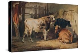 A Bull and three Cows in a Stable, c1856-Thomas Sidney Cooper-Stretched Canvas