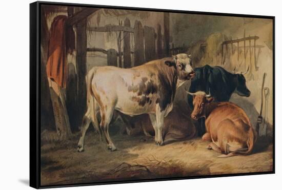 A Bull and three Cows in a Stable, c1856-Thomas Sidney Cooper-Framed Stretched Canvas