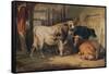 A Bull and three Cows in a Stable, c1856-Thomas Sidney Cooper-Framed Stretched Canvas